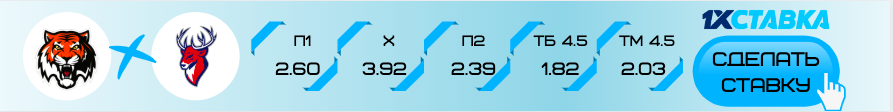 Амур - Торпедо прогноз на матч 25 декабря 2019 года