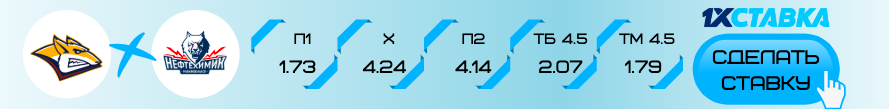 Металлург - Нефтехимик прогноз на матч 17 декабря 2019 года