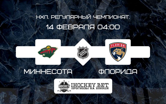 Миннесота – Флорида